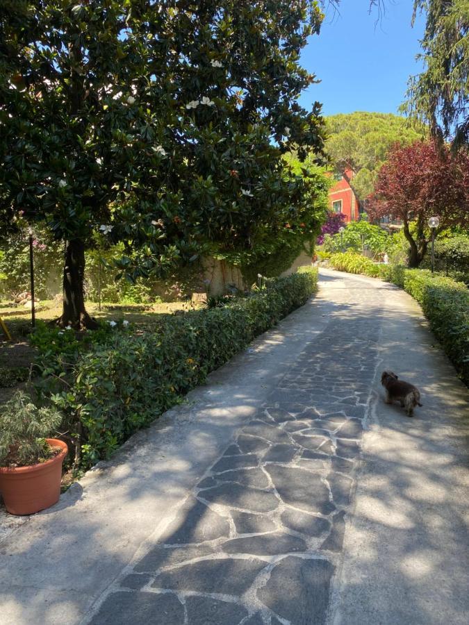 Le Magnolie Bed and Breakfast Santa Margherita Ligure Eksteriør billede